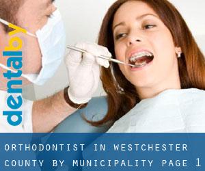 Orthodontist in Westchester County by municipality - page 1