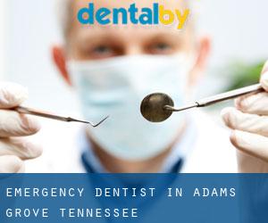 Emergency Dentist in Adams Grove (Tennessee)