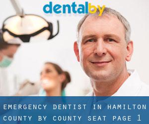 Emergency Dentist in Hamilton County by county seat - page 1