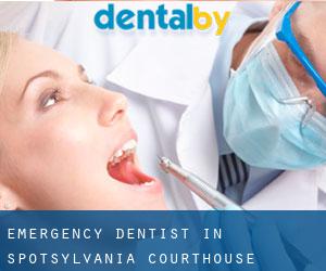 Emergency Dentist in Spotsylvania Courthouse