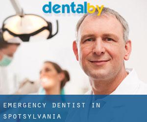 Emergency Dentist in Spotsylvania