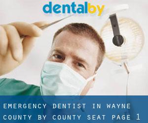 Emergency Dentist in Wayne County by county seat - page 1