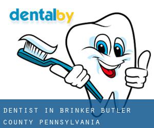 dentist in Brinker (Butler County, Pennsylvania)
