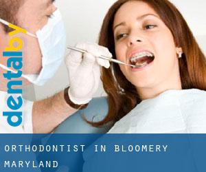 Orthodontist in Bloomery (Maryland)