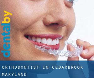 Orthodontist in Cedarbrook (Maryland)