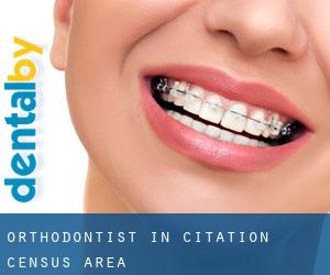Orthodontist in Citation (census area)