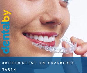 Orthodontist in Cranberry Marsh
