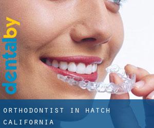 Orthodontist in Hatch (California)