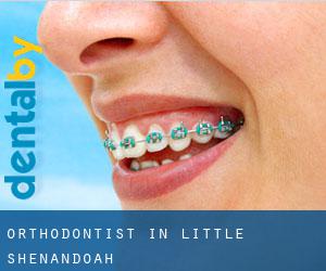 Orthodontist in Little Shenandoah
