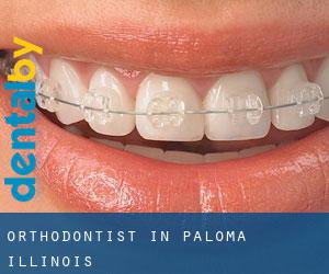 Orthodontist in Paloma (Illinois)