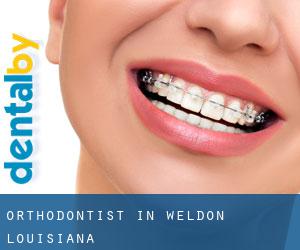 Orthodontist in Weldon (Louisiana) Orthodontist in Weldon (Louisiana)
