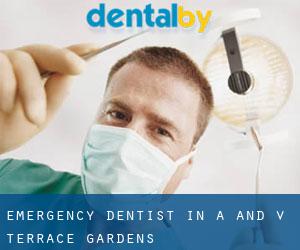 Emergency Dentist in A and V Terrace Gardens