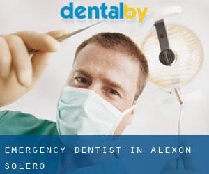 Emergency Dentist in Alexon Solero