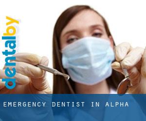 Emergency Dentist in Alpha