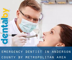 Emergency Dentist in Anderson County by metropolitan area - page 1