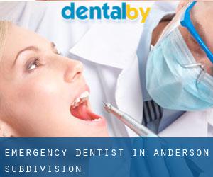 Emergency Dentist in Anderson Subdivision