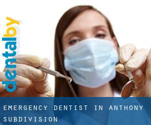 Emergency Dentist in Anthony Subdivision