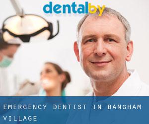 Emergency Dentist in Bangham Village