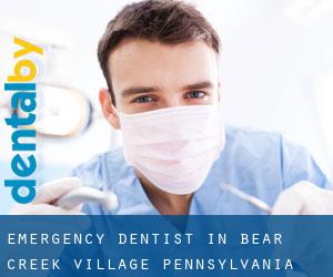 Emergency Dentist in Bear Creek Village (Pennsylvania)