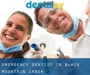 Emergency Dentist in Black Mountain Cabin