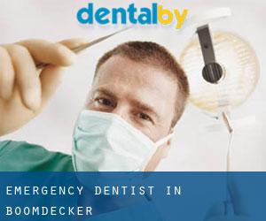 Emergency Dentist in Boomdecker