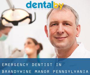Emergency Dentist in Brandywine Manor (Pennsylvania)