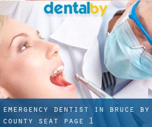 Emergency Dentist in Bruce by county seat - page 1