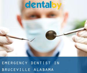 Emergency Dentist in Bruceville (Alabama)
