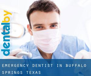 Emergency Dentist in Buffalo Springs (Texas)