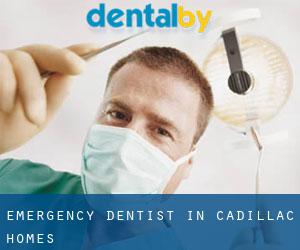 Emergency Dentist in Cadillac Homes