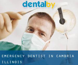 Emergency Dentist in Cambria (Illinois)