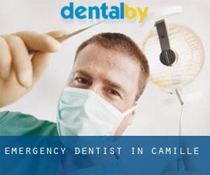 Emergency Dentist in Camille