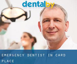 Emergency Dentist in Card Place