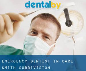 Emergency Dentist in Carl Smith Subdivision