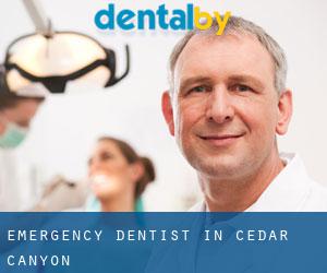 Emergency Dentist in Cedar Canyon