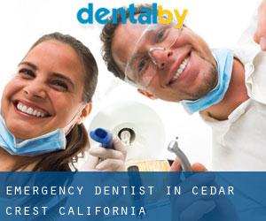 Emergency Dentist in Cedar Crest (California)