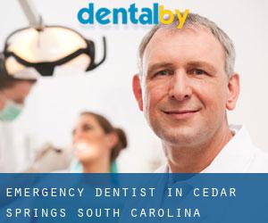 Emergency Dentist in Cedar Springs (South Carolina)