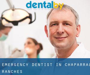 Emergency Dentist in Chaparral Ranches