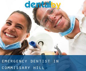 Emergency Dentist in Commissary Hill