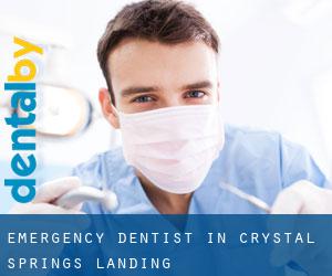 Emergency Dentist in Crystal Springs Landing