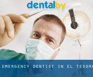 Emergency Dentist in El Tesoro