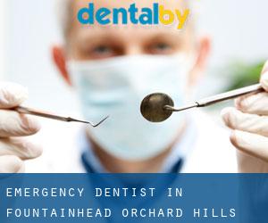 Emergency Dentist in Fountainhead-Orchard Hills