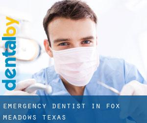 Emergency Dentist in Fox Meadows (Texas)
