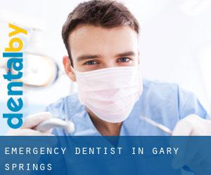 Emergency Dentist in Gary Springs