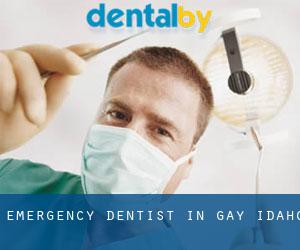 Emergency Dentist in Gay (Idaho)