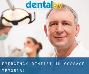 Emergency Dentist in Gossage Memorial