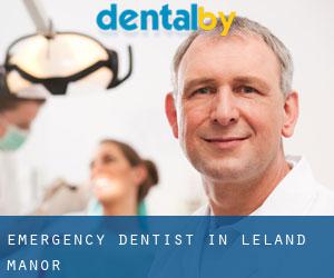 Emergency Dentist in Leland Manor