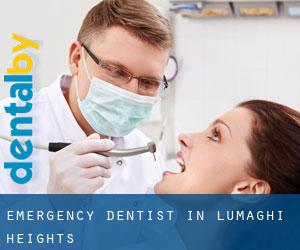 Emergency Dentist in Lumaghi Heights