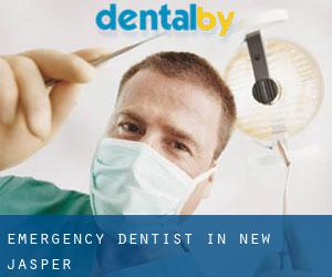Emergency Dentist in New Jasper