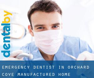 Emergency Dentist in Orchard Cove Manufactured Home Community
